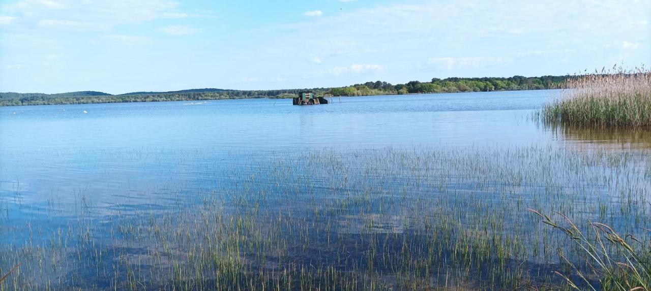 Les Terrasses Du Lac Piscine Et Vue Lac A4 欧雷扬 外观 照片