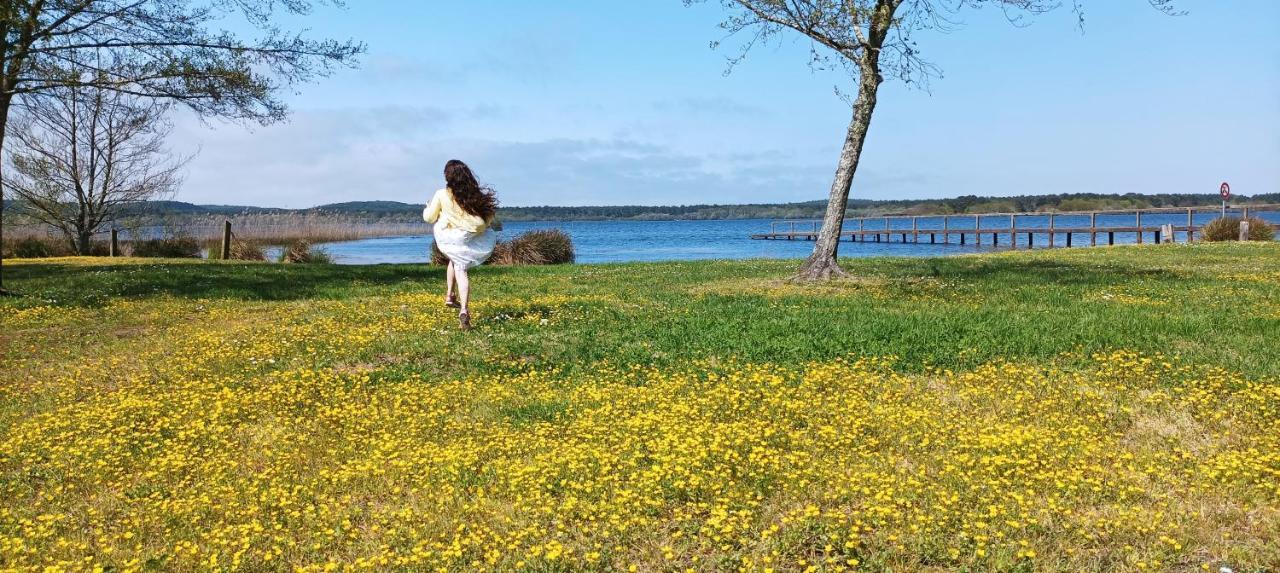 Les Terrasses Du Lac Piscine Et Vue Lac A4 欧雷扬 外观 照片