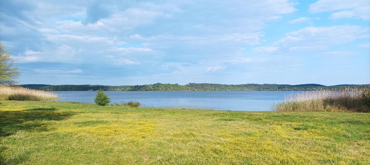 Les Terrasses Du Lac Piscine Et Vue Lac A4 欧雷扬 外观 照片